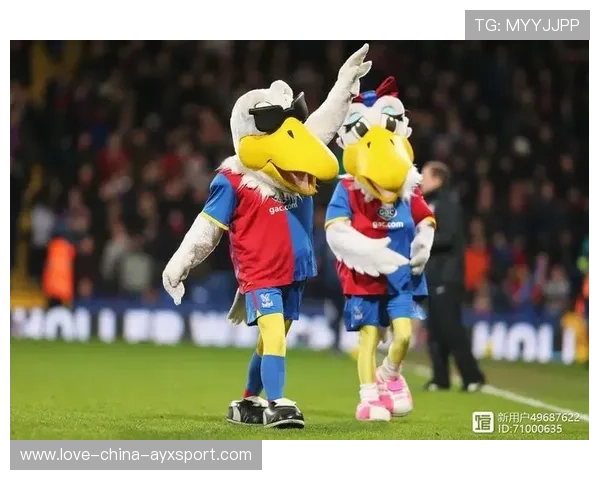 英超社区关系建设成功案例：球迷与城市共赢