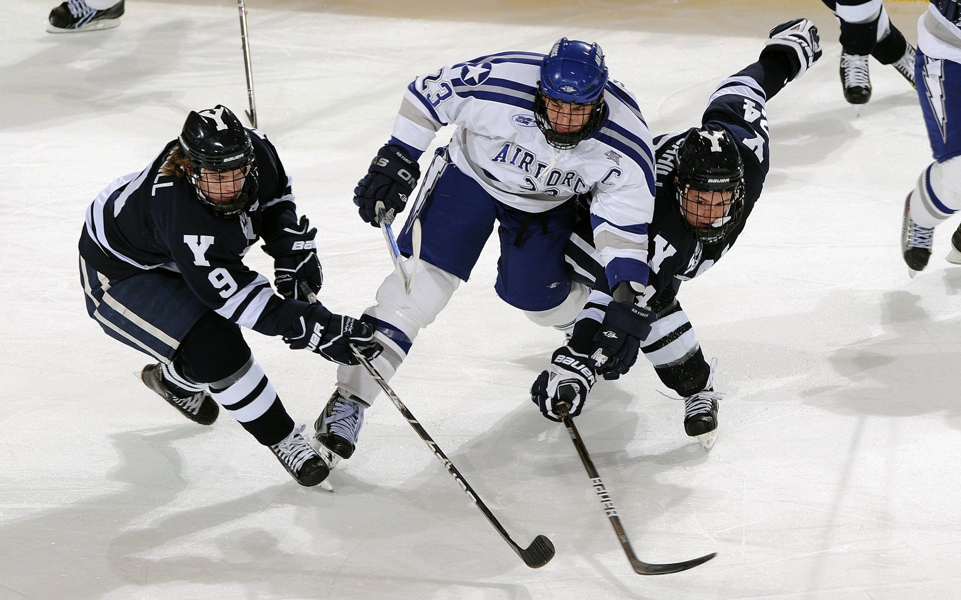 体育产业年度投资报告