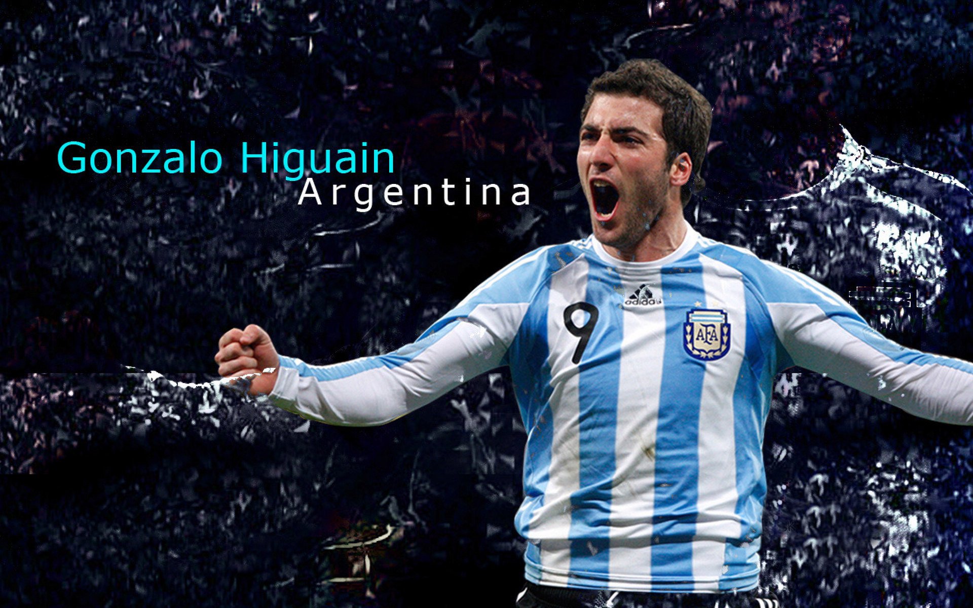 体育产业年度投资分析报告